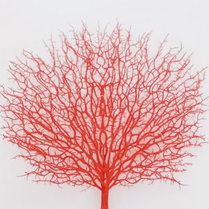 Coral Centrepieces